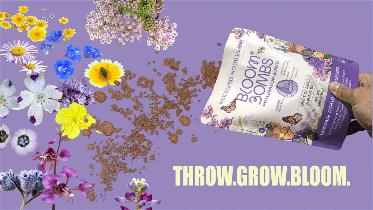 native wildflower seed bombs Bulk Bloom Bombs-1000 Sq FT-Native Wildflower Seed Balls