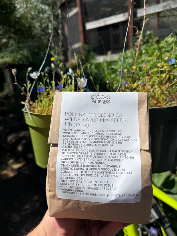 Pollinator Blend CA Wildflower Mix-SEEDS ONLY 1oz.