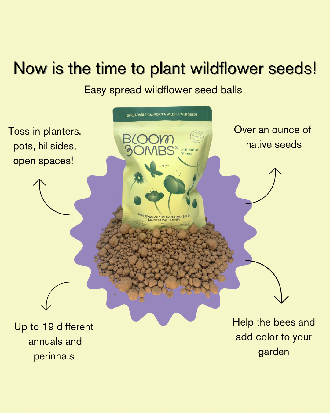 Bulk Bloom Bombs-1000 Sq FT-Native Wildflower Seed Balls