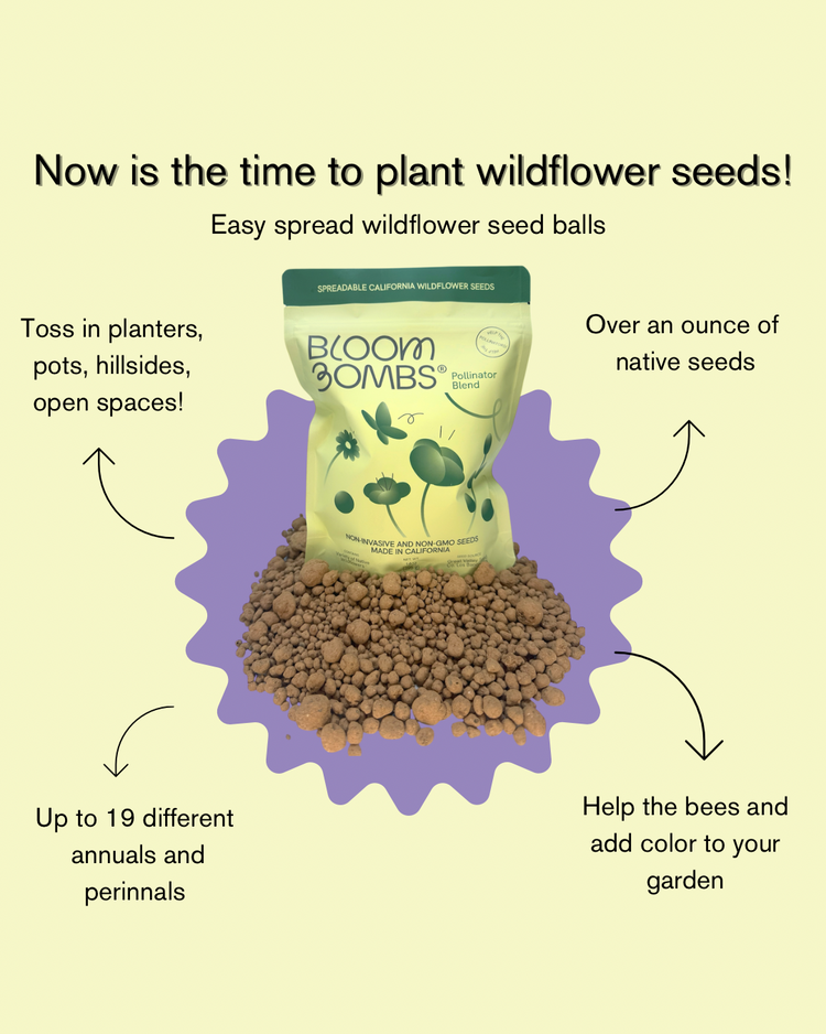 spread wildflower seeds Bulk Bloom Bombs-1000 Sq FT-Native Wildflower Seed Balls