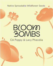 California Poppy & Lacy Phacelia Seed Balls