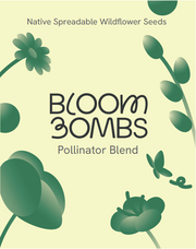 Pollinator Blend Seed Balls