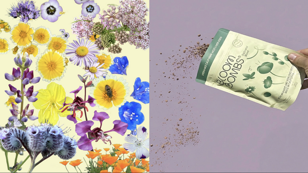 California Native Wildflower Seed Balls 14oz.