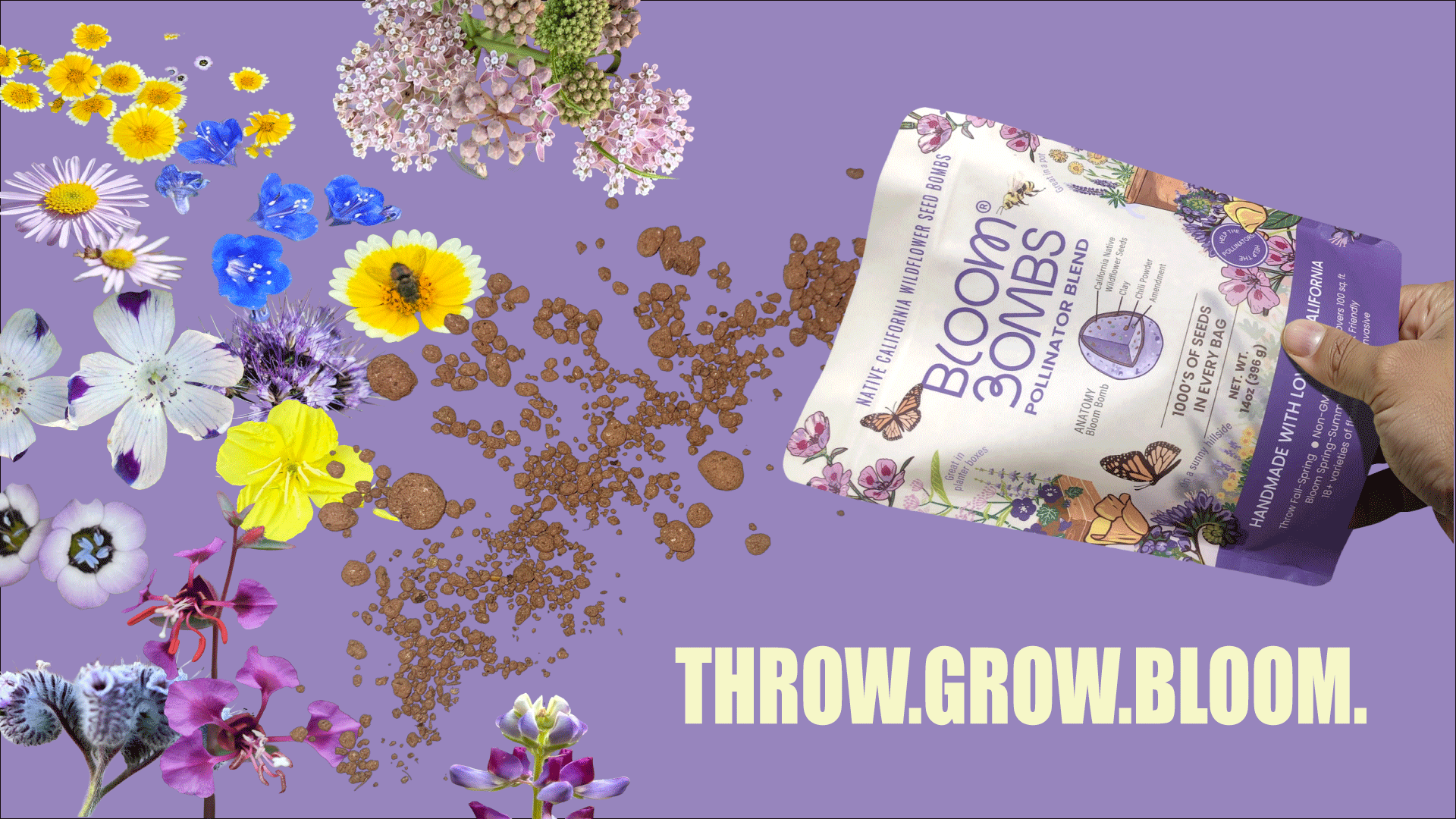 Spreadable Wildflower Seeds  Bloom Bombs