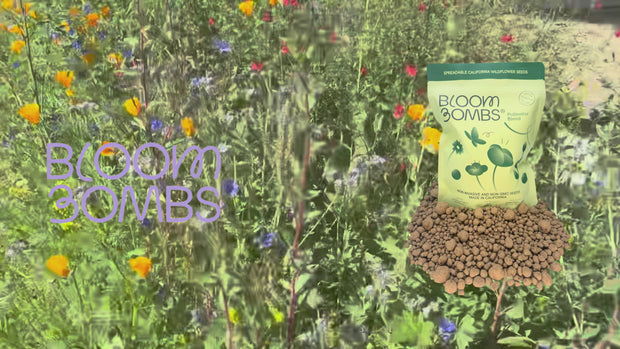 California Native Wildflower Seed Balls 14oz.